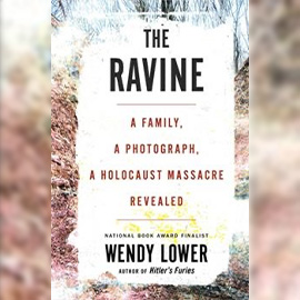 Cover art for Professor Lower's latest book, the Ravine.
