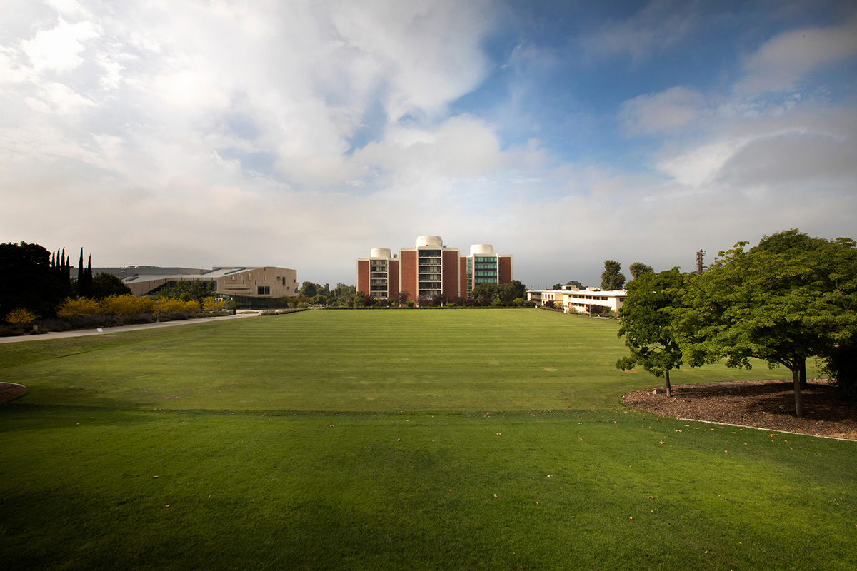 Overview shot of Green Beach facing South Quad and Boswell Hall.