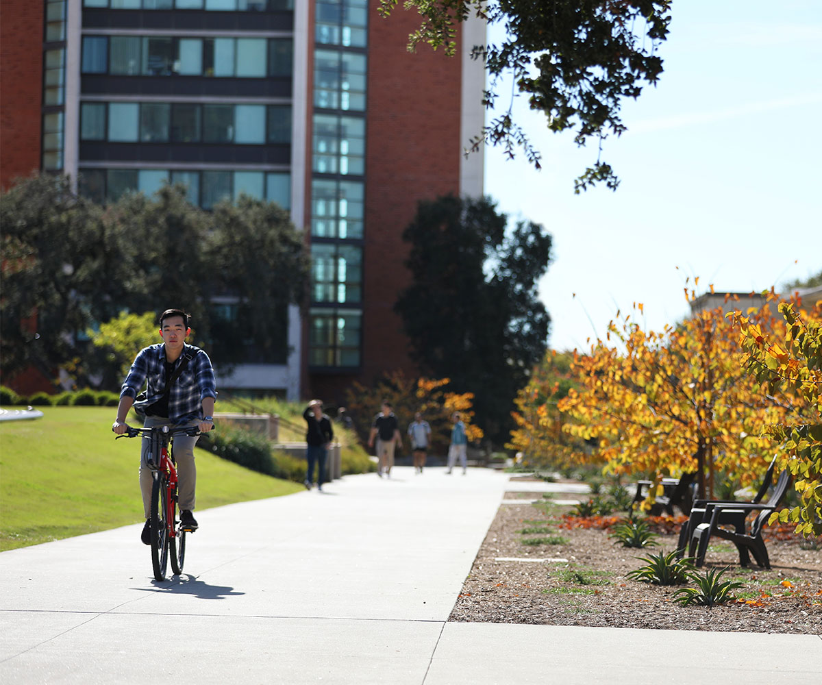 A student riding a bike along walkway with trees with purple flowers.