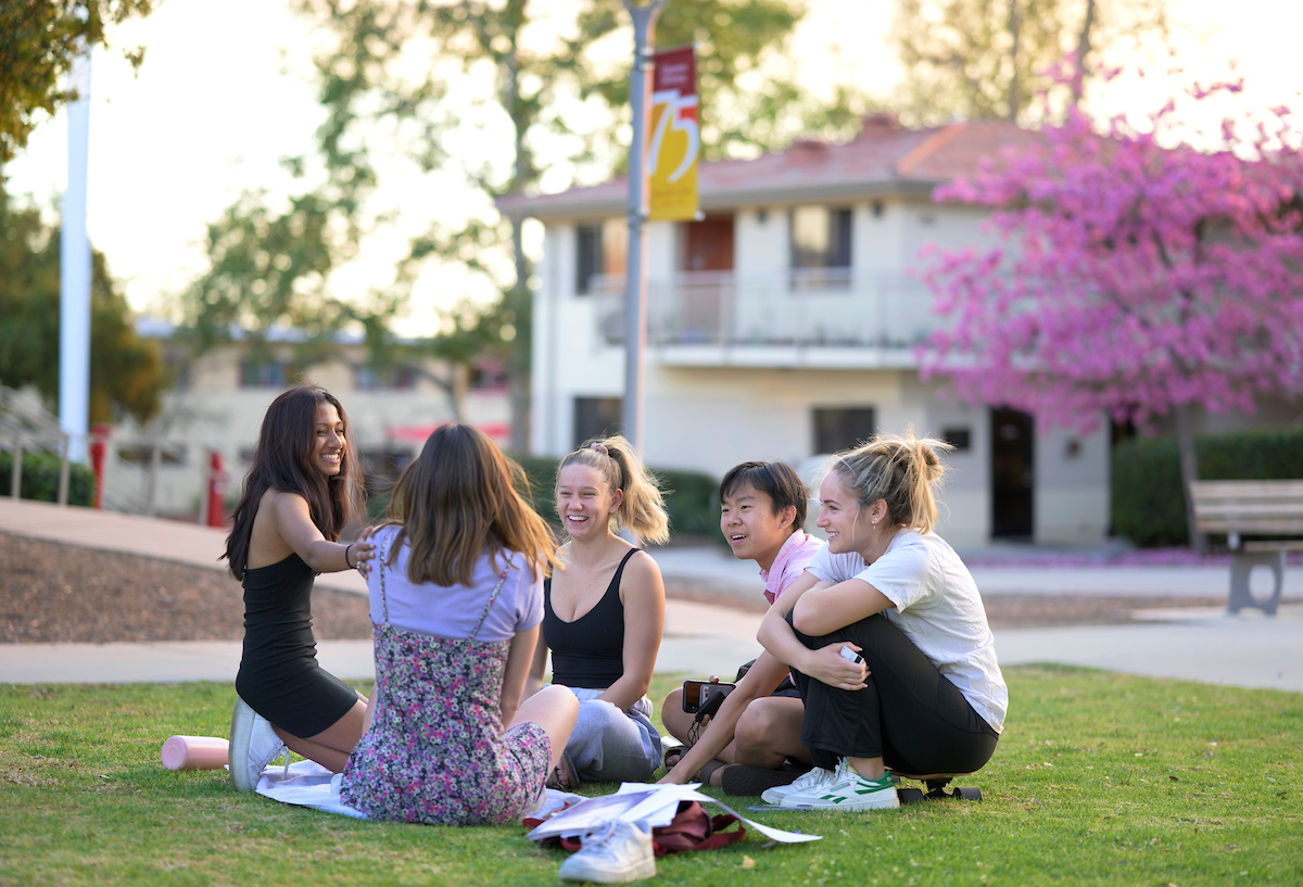 A group of students sitting on the grass, talking to each other.