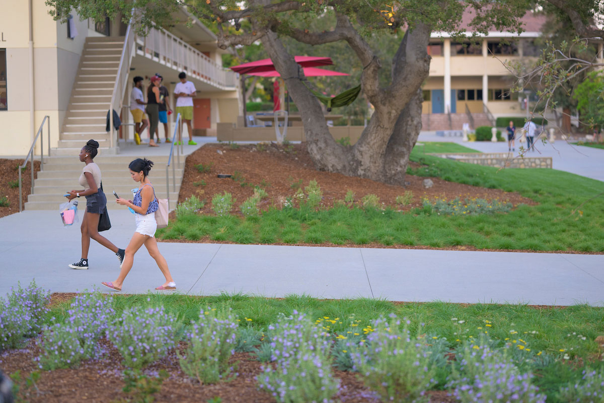 Students walking along pathways in North Quad.