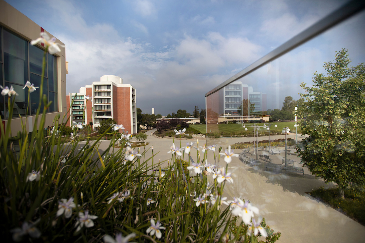 View of the "Towers" and Green Beach from Roberts Pavilion.