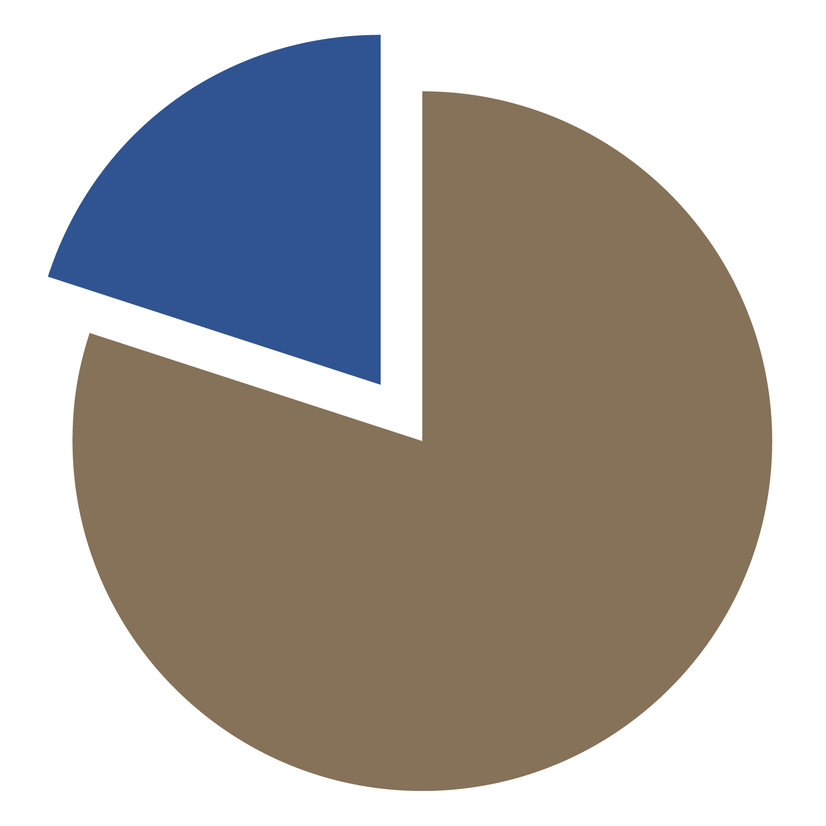 Pie graph showing twenty percent.