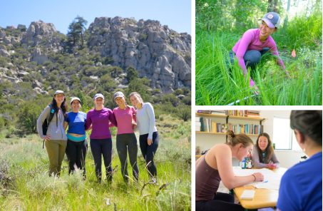 Collage of highlights from the Roberts Environmental Center's research trip.