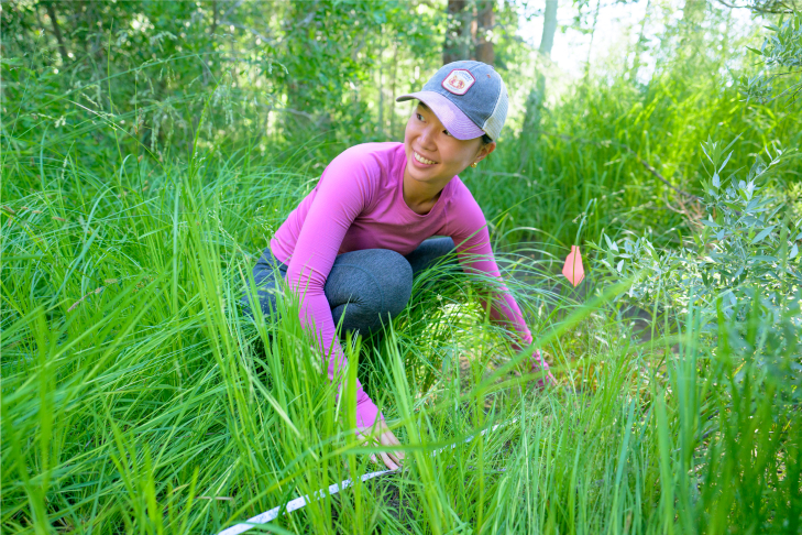 Alyssa Wong ’26 checking on Quaking Aspen leaves.