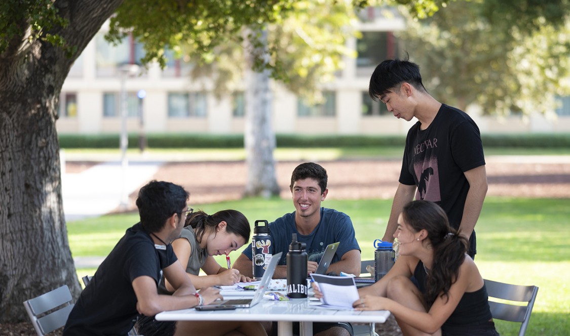 Five CMC students work and study together outdoors on a table beneath a tree, feeling free to express themselves.