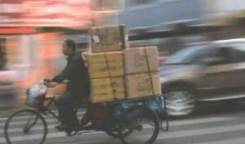 Image from cover of Minxin Pei's China's Crony Capitalism book