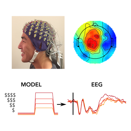 Harris Lab EEG and modeling