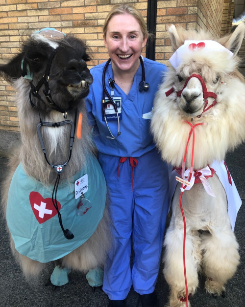 Kendra Henderson '09 with animal friends in the ER.