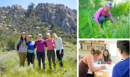 Collage of highlights from the Roberts Environmental Center's research trip.
