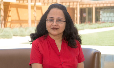 Professor Aseema Sinha