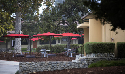 Plans for spring semester